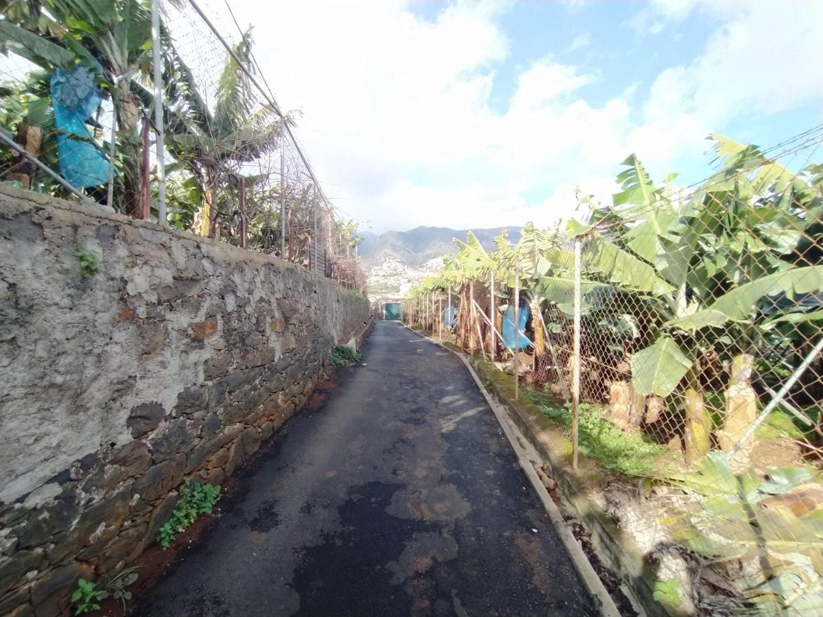 フンシャル Casa Alencastreヴィラ エクステリア 写真